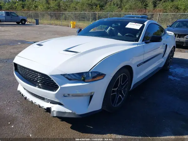 1FA6P8CF1K5161229 2019 FORD MUSTANG - Image 2