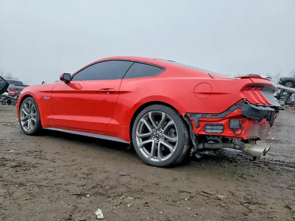 1FA6P8CF1K5164227 2019 FORD MUSTANG - Image 2