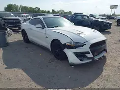 1FA6P8CF1K5175843 2019 FORD MUSTANG