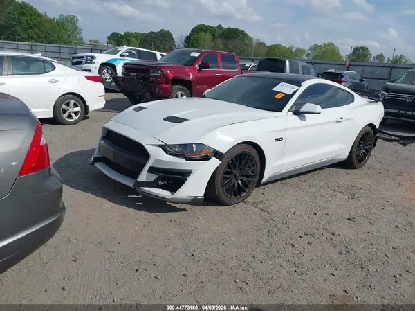 1FA6P8CF1K5175843 2019 FORD MUSTANG - Image 2