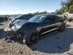 1FA6P8CF1K5176376 2019 FORD MUSTANG