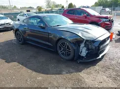 1FA6P8CF1K5185238 2019 FORD MUSTANG