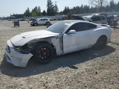 1FA6P8CF1K5188978 2019 FORD MUSTANG