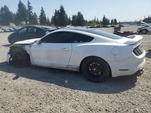 1FA6P8CF1K5188978 2019 FORD MUSTANG - Image 2