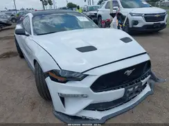 1FA6P8CF1K5192822 2019 FORD MUSTANG