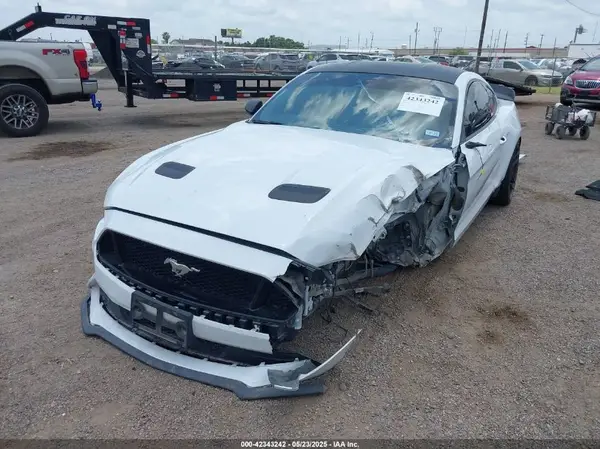 1FA6P8CF1K5192822 2019 FORD MUSTANG - Image 2