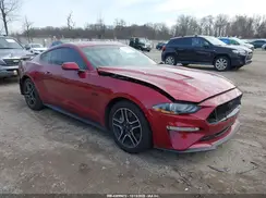 1FA6P8CF1K5193825 2019 FORD MUSTANG
