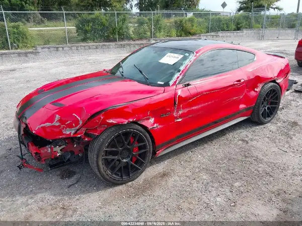 1FA6P8CF1K5205424 2019 FORD MUSTANG - Image 2