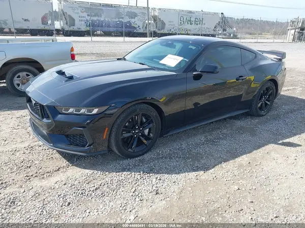 1FA6P8CF1R5412891 2024 FORD MUSTANG - Image 2