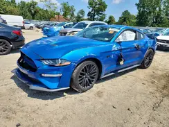1FA6P8CF2K5103517 2019 FORD MUSTANG
