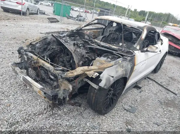 1FA6P8CF2K5103596 2019 FORD MUSTANG - Image 2