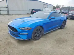 1FA6P8CF2K5129146 2019 FORD MUSTANG