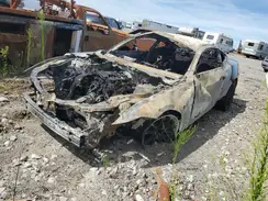 1FA6P8CF2R5403066 2024 FORD MUSTANG