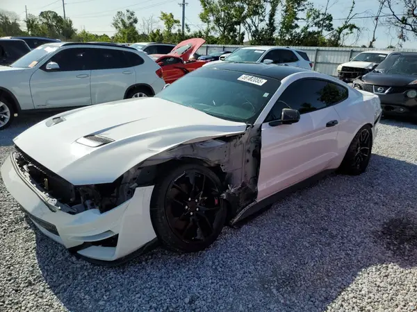 1FA6P8CF3K5101842 2019 FORD MUSTANG - Image 1