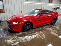 1FA6P8CF3K5106653 2019 FORD MUSTANG