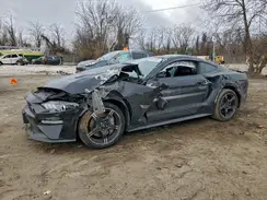 1FA6P8CF3K5114476 2019 FORD MUSTANG