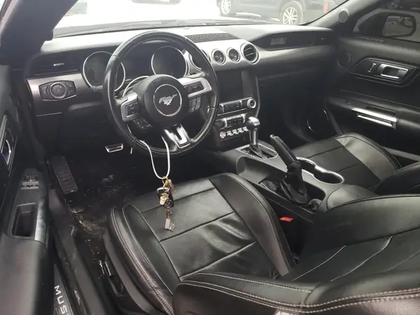 1FA6P8CF3K5116986 2019 FORD MUSTANG - Image 8