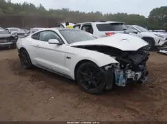 1FA6P8CF3K5122075 2019 FORD MUSTANG