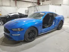 1FA6P8CF3K5123100 2019 FORD MUSTANG