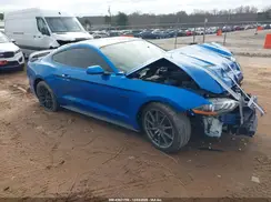 1FA6P8CF3K5124585 2019 FORD MUSTANG