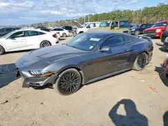1FA6P8CF3K5129429 2019 FORD MUSTANG