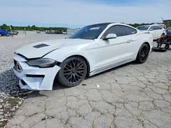 1FA6P8CF3K5175374 2019 FORD MUSTANG