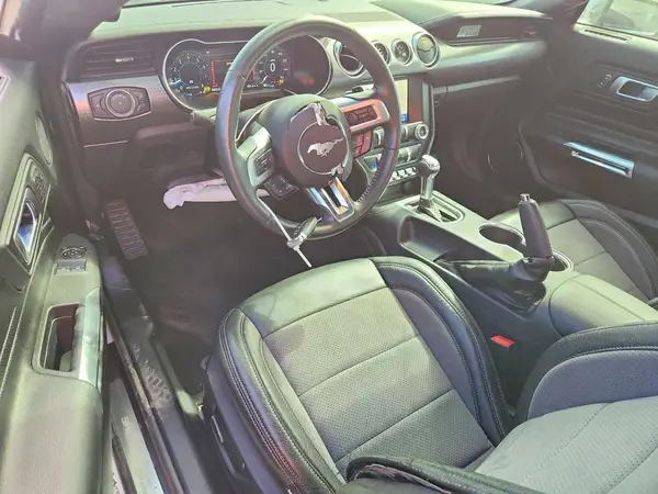 1FA6P8CF3K5178789 2019 FORD MUSTANG - Image 8