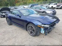 1FA6P8CF3K5194507 2019 FORD MUSTANG
