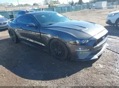 1FA6P8CF3K5199139 2019 FORD MUSTANG