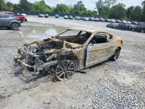 1FA6P8CF3K5199495 2019 FORD MUSTANG - Image 1