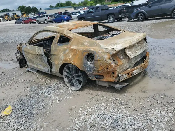 1FA6P8CF3K5199495 2019 FORD MUSTANG - Image 2