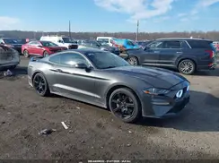 1FA6P8CF3K5203321 2019 FORD MUSTANG