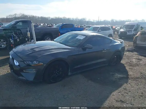 1FA6P8CF3K5203321 2019 FORD MUSTANG - Image 2