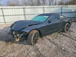1FA6P8CF3K5203772 2019 FORD MUSTANG