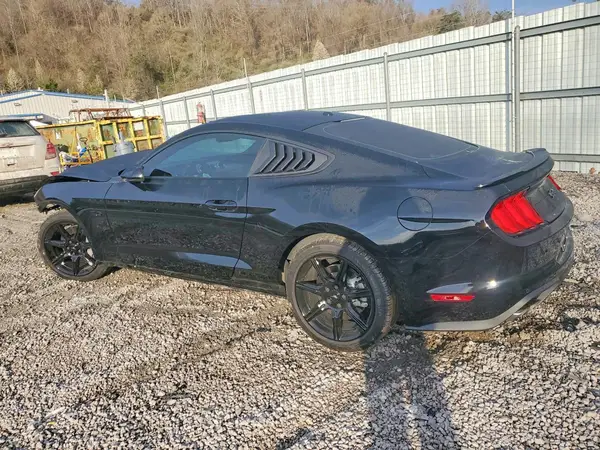 1FA6P8CF3K5203772 2019 FORD MUSTANG - Image 2