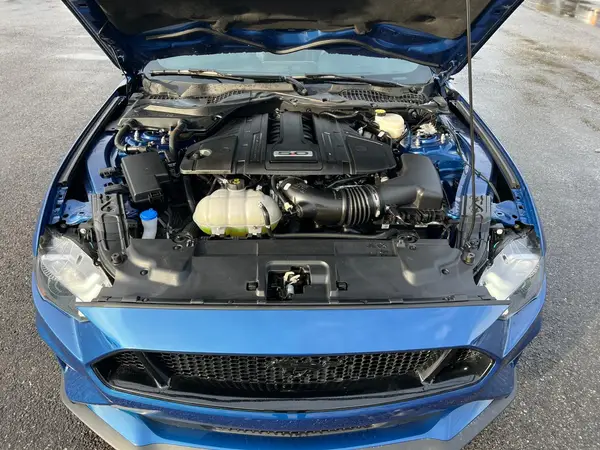 1FA6P8CF3P5306021 2023 FORD MUSTANG - Image 8