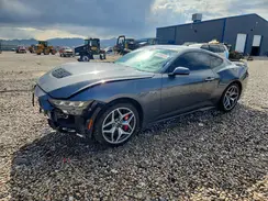1FA6P8CF3R5427585 2024 FORD MUSTANG