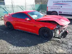 1FA6P8CF4K5115135 2019 FORD MUSTANG
