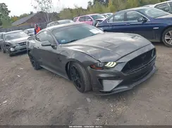 1FA6P8CF4K5116236 2019 FORD MUSTANG