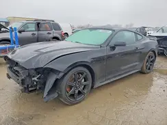 1FA6P8CF4K5125437 2019 FORD MUSTANG