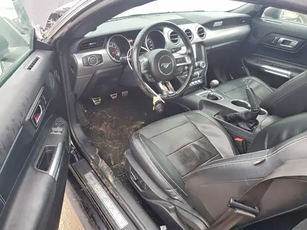 1FA6P8CF4K5125437 2019 FORD MUSTANG - Image 8