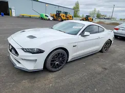 1FA6P8CF4K5161368 2019 FORD MUSTANG