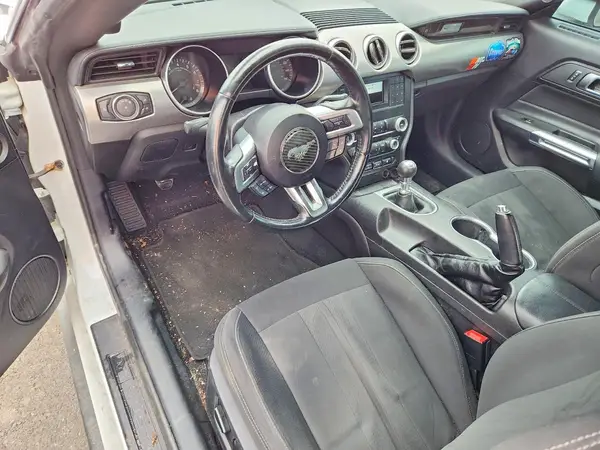 1FA6P8CF4K5161368 2019 FORD MUSTANG - Image 8