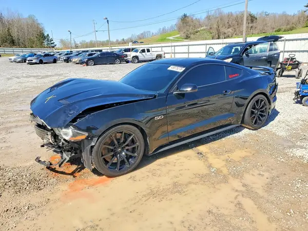 1FA6P8CF4K5163248 2019 FORD MUSTANG - Image 1
