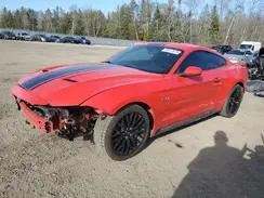 1FA6P8CF4K5179837 2019 FORD MUSTANG