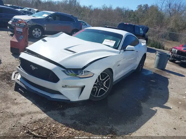 1FA6P8CF4K5188487 2019 FORD MUSTANG - Image 2