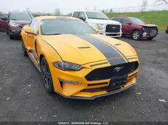 1FA6P8CF4K5202923 2019 FORD MUSTANG