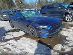 1FA6P8CF4L5123561 2020 FORD MUSTANG