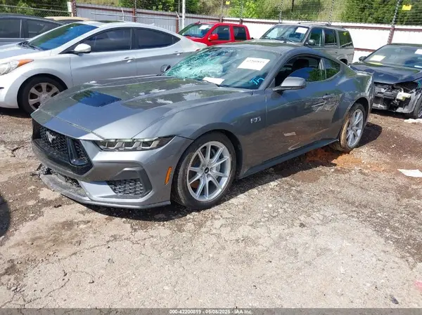 1FA6P8CF4R5436103 2024 FORD MUSTANG - Image 2