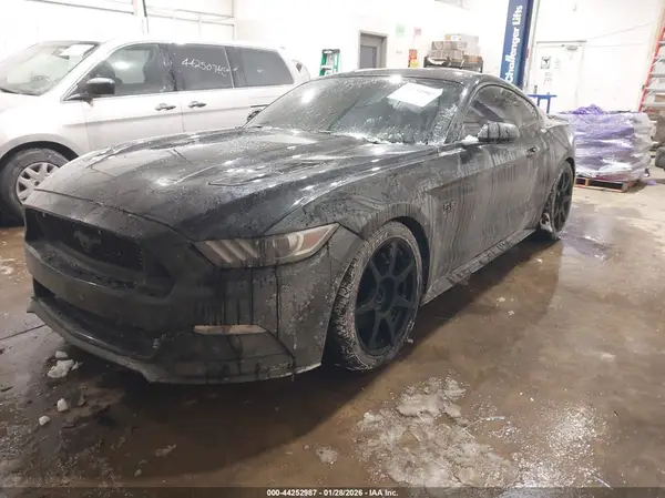 1FA6P8CF5H5316549 2017 FORD MUSTANG - Image 2